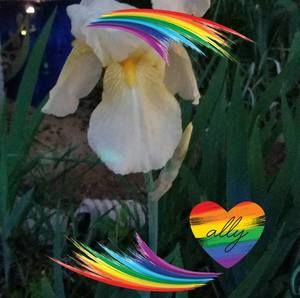 Meet your Posher, Gina